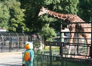 ムシューダ 新cm ムッシュ熊雄シリーズ第5弾 熊雄 動物園へ行く 篇を制作 10年9月13日 月 から全国でオンエア開始