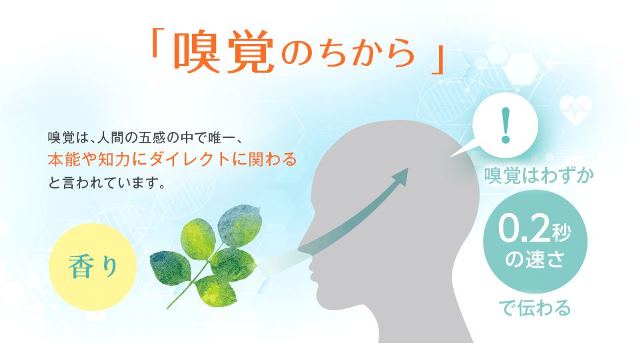 香りの新習慣 嗅ぐサプリメントでオンとオフをスイッチ アロマサプリ プチっとアロマ 頭脳のチカラ を新発売 プチっとするだけでどこでも簡単 使い切りアロマ